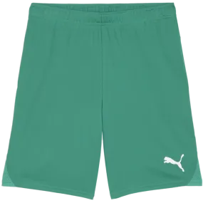 Pantalón corto Puma teamGOAL Shorts